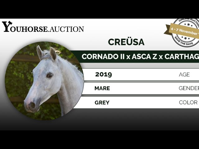Creüsa under the saddle