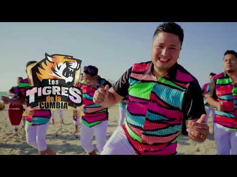 Parranda del Recuerdo - Los Tigres de la Cumbia