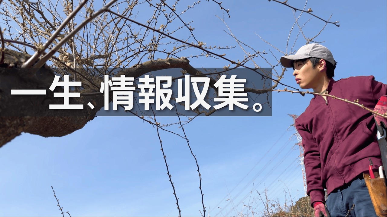 AI時代。ブレる度に、自分が嫌になる。