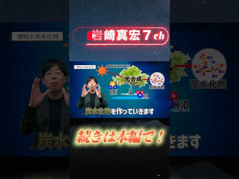 臨床検査学科 炭水化物は全部植物からきてる？　#ななちゃん #栄養学 #栄養 #栄養価 #岩崎真宏 #世界は栄養学でできている　#健康