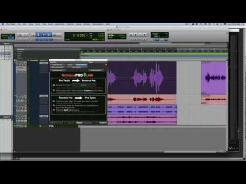 Free Download Revoice PRO v1.0.0 STANDALONE macOS-MORiA