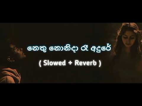 නෙතු නොනිදා රෑ අදුරේ - Nethu nonidaa Raa adure  ( Slowed + Reverb ) ❣️Originals