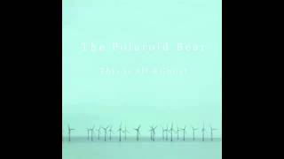 The Polaroid Bear - Marigold