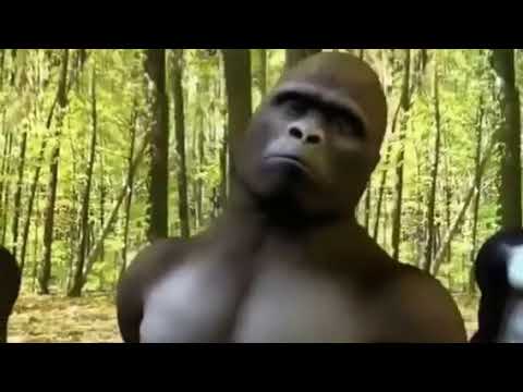 Radical x THB Brown x Rosa Chemical x Simie Balerine