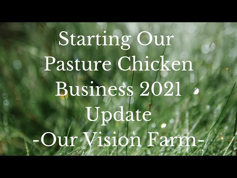 Starting the Mealworm Colony & Fixing up our Chicken Processing Area-Ep 3