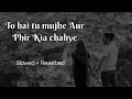 To Hai Tu Mujhe Aur Phir Kia Chahye Slowed Reverbed Lofi Song