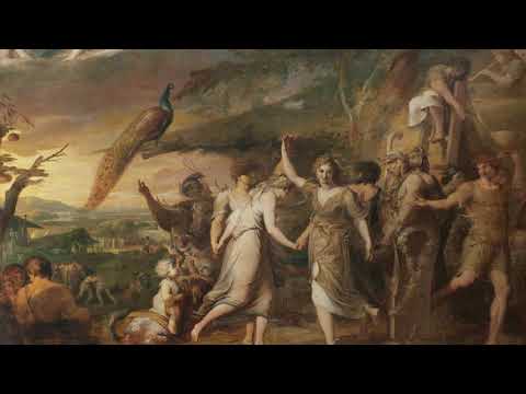 Johannes Matthias Sperger: Viola Concerto in D Major