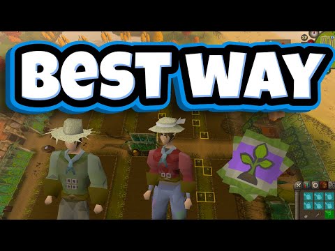 *UPDATED* Tithe Farm OSRS Runelite Plugin | Easiest Way to TRAIN Early Farming (HCIM, Herb seeds)