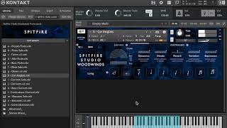 Video thumbnail for Spitfire Studio Woodwinds by Spitfire Audio \\ Exploring The Sounds (No Talking) by Andrew Southworth
