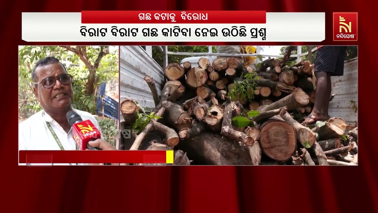 ରାଜଧାନୀରେ ଜଙ୍ଗଲ  ବିଭାଗ ନିର୍ଦ୍ଦେଶରେ ପ୍ରାୟ ୩୫ ଟି ଗଛ କଟ?