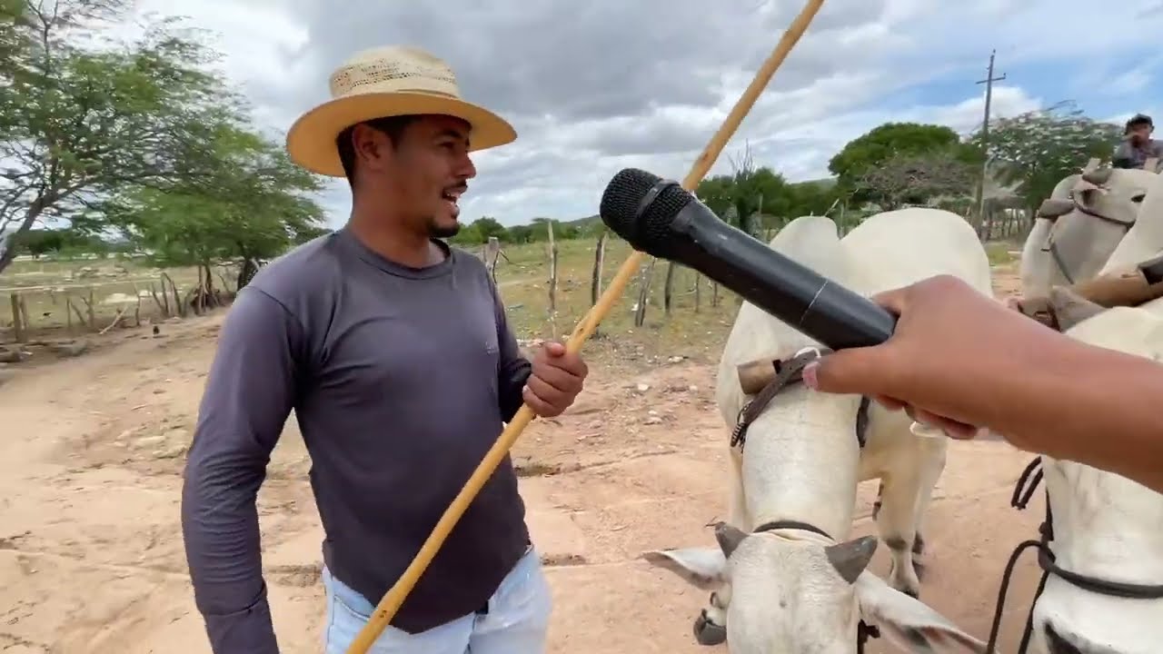 Região do Carro de Boi, São José da tapera - AL 28 - 02 - 2025 #nordeste