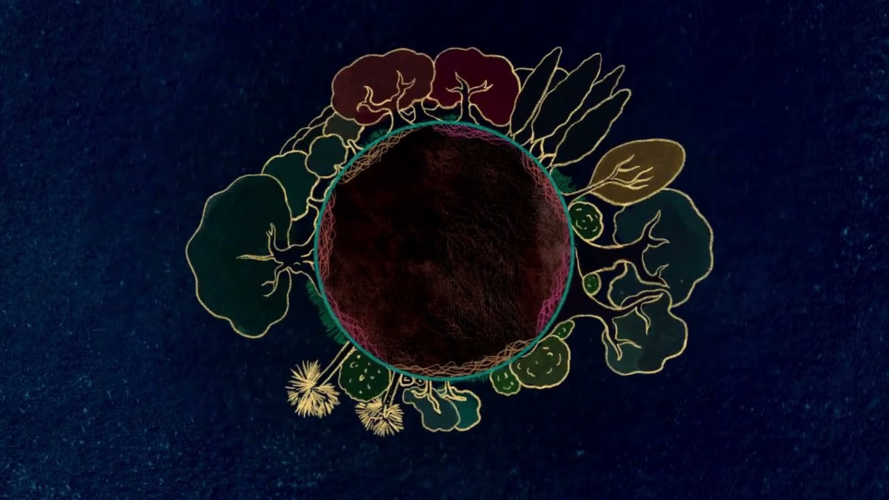 Mycorrhizal Fungi: The Roots of Life on Land