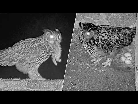 22.–23.02.2026: Ei Nr. 4 ist da!