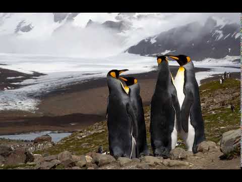 Arctic Quest - Renaissance [2006] HQ