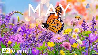 Spring Flowers 4K – A Blooming World of Color 2026 🌸 Flower Landscapes, Green Hills & Nature