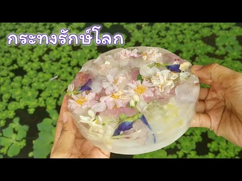 คลิกเพื่อดูคลิปวิดีโอ