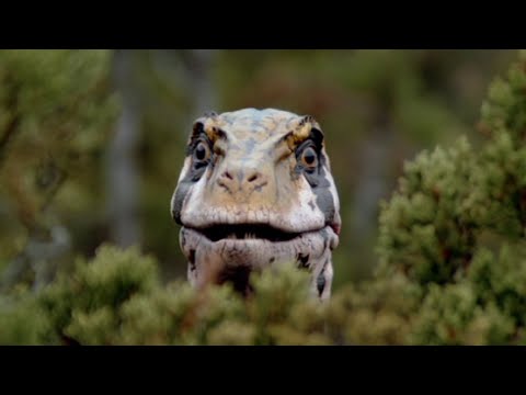 The Scientific Accuracy of Walking With Dinosaurs - Episode 4: Giant of the Skies