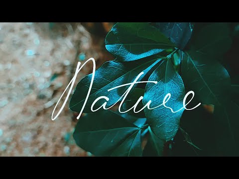 Nature | B-roll | Sanav Sajith