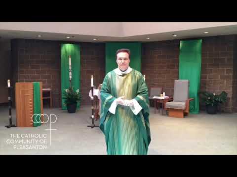 Fr. Mark Wiesner: Homily July 16 2020