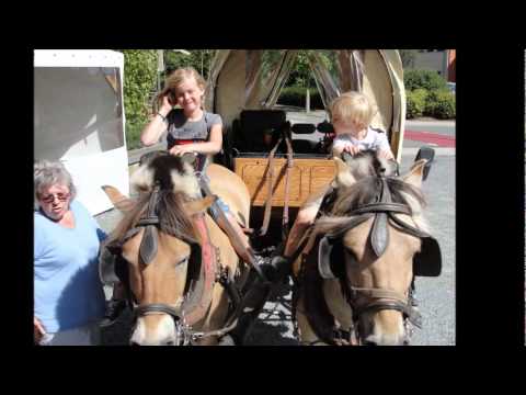 11 augustus, 2011 Paardentocht