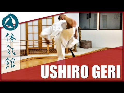 HOW TO: USHIRO GERI | Shōtōkan Karate Kick by Fiore Tartaglia