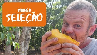 Miniatura do vídeo