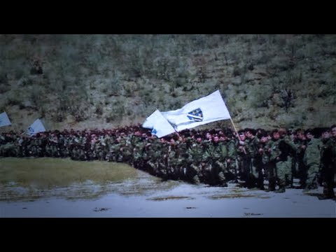 Nedžad Esadović  - Zastava Bosanska (lyrics & slowed reverb)