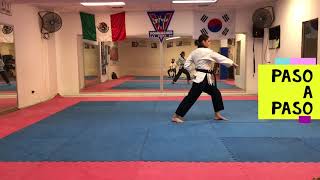 Taeguk 6 (Cinta azul avanzada)