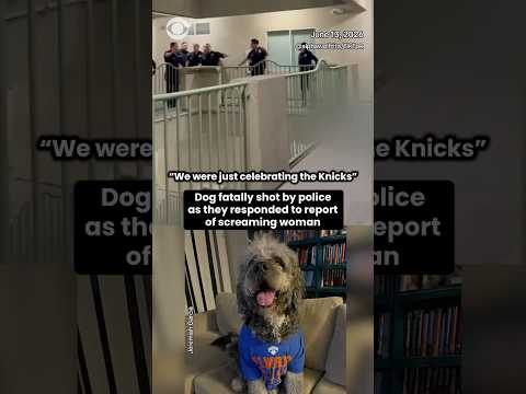 Dog fatally shot by LAPD after reports of screaming inside an apartment building Saturday #shorts