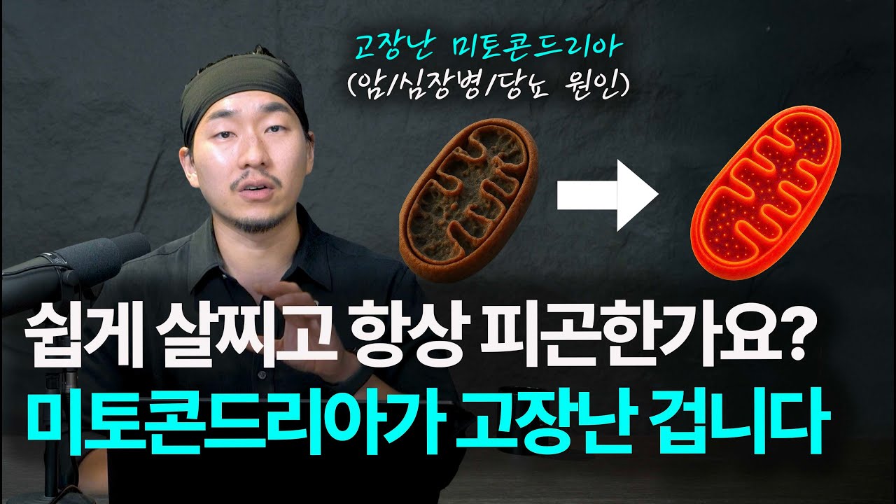 3가지만 실천해보세요! 미토콘드리아를 고치면 남들보다 20년 젊게 살 수 있습니다 (스탠포드 출신 케이시 민즈가 설명하는 비만, 당뇨, 암, 심혈관 질환 예방법) [EN/KR]