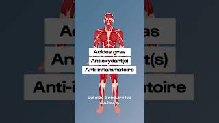 Tout savoir sur l’huile de Krill en 1 minute