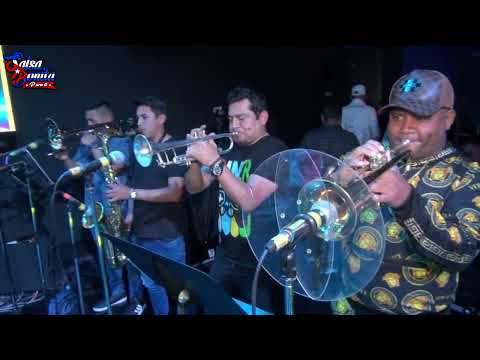 SI NO VINISTE HOY ♪ MICHEL MAZA & LA TIMBA CRIOLLA ♪ 4K ♪ C.C.BARRANCO A. ♪ 28 JUL.LIMA-PERU