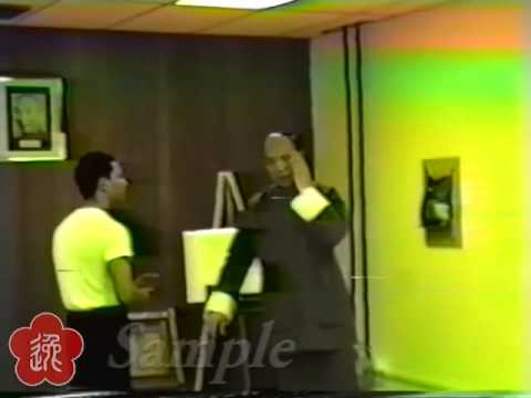 Preview: Moy Yat - Chi Sau 1