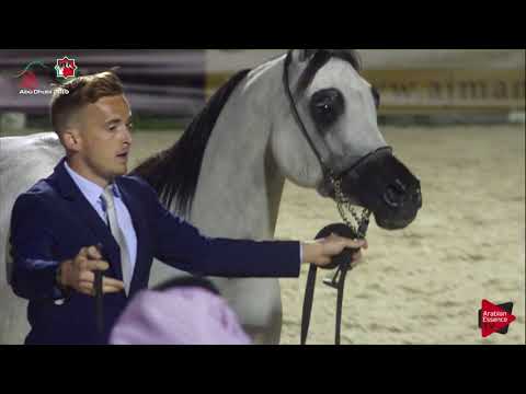 N 224 E S  MAHABBAH   UAE Nationals 2019