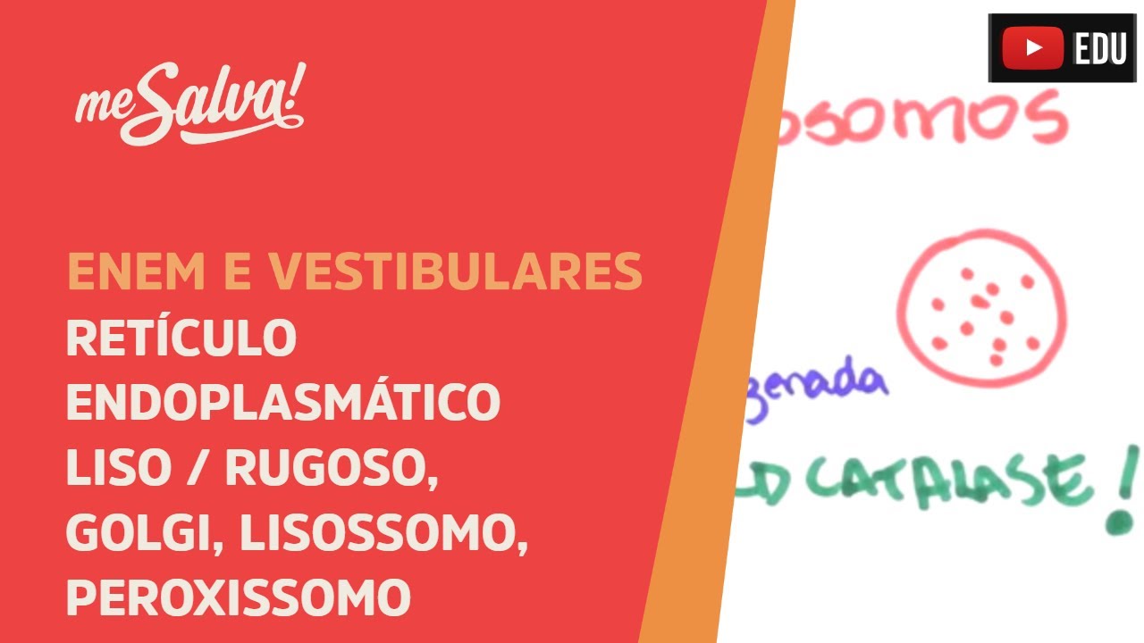 Me Salva! CIT19 - Citologia - Organelas citoplasmáticas: RE Liso/Rugoso, Golgi/Lisossomo/Peroxissomo