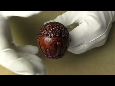 Ser Jacopo Rowlette - pipe 1681