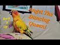 Monday With Angel The Dancing Queen! Mazarin Rock It Up!