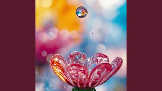 光の雫に乗せて / On Drops of Light