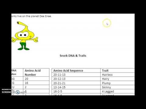 Snork In Graph