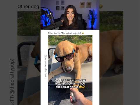 HER DOG'S TRAINER IS CRAZY 😭