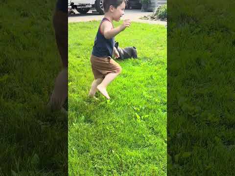 Video 1