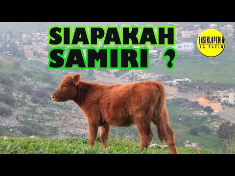 Download Samiri 3gp Mp4 Codedwap