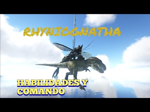 TODAS LAS HABILIDADES Y COMANDO DE LA RHYNIOGNATHA DE ARK