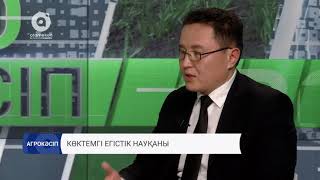 Көктемгі егістік науқаны