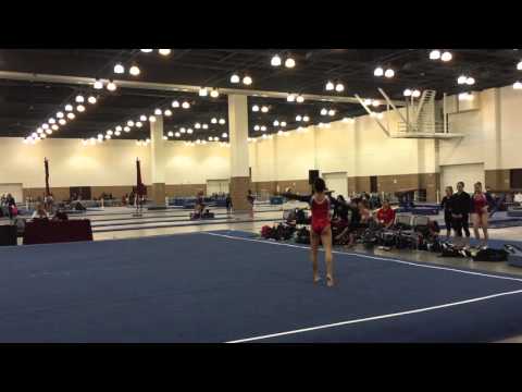 Hannah Nipp Level 10 Floor - 2016 Waller's Heart of a Champion Invitational