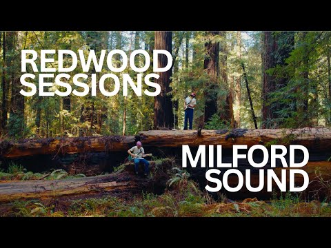 Caye - Chapter 1: Milford Sound (Redwood Sessions)