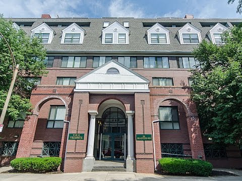 59 Brainerd Road #212 - Allston, Boston