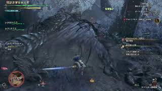 [モンハンワイルズ]本能のままに狩れ!![SPADE1136]