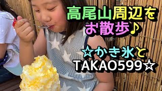 【サラリアおでかけ】高尾山周辺をお散歩したよ♪かき氷とTAKAO599 / Shaved ice and Mt.Takao museum