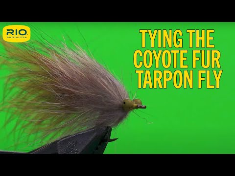 Tying The Fly - Coyote Fur Tarpon Fly